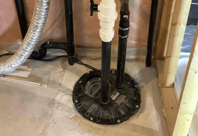 SIMILARITIES IN DESIGN Image