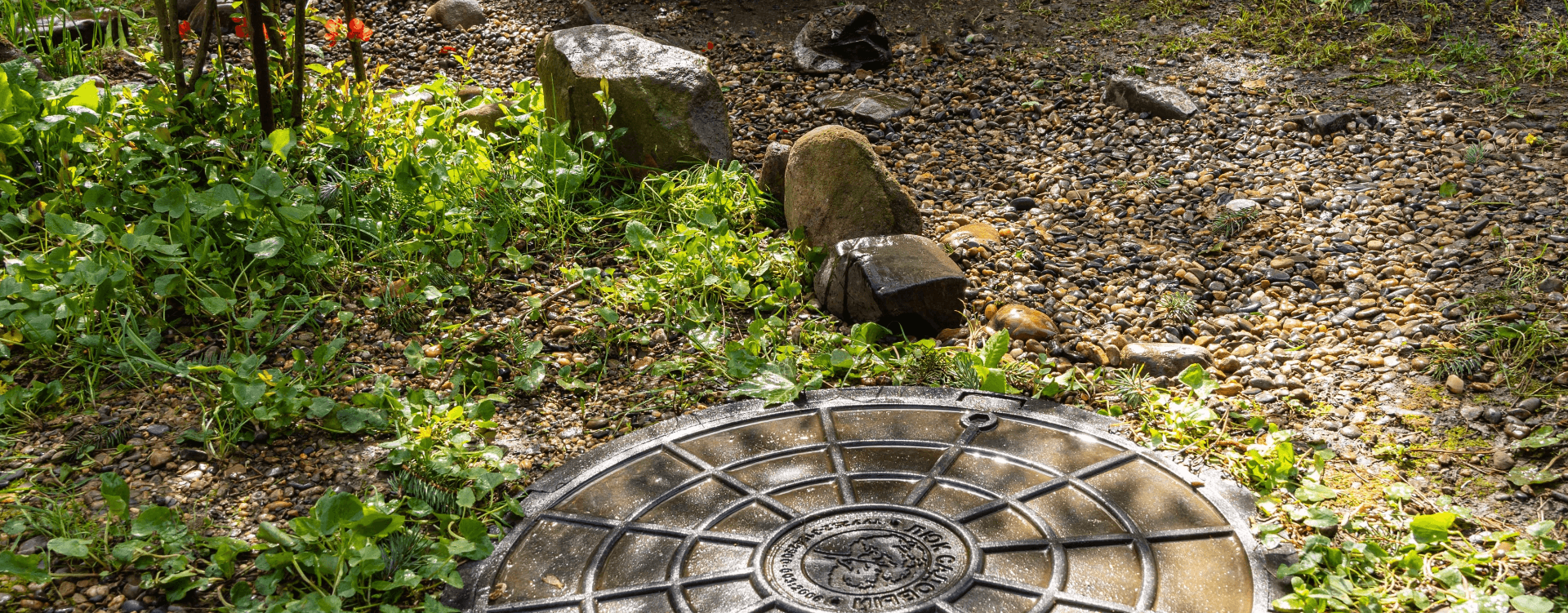 Septic Field Restoration Banner Image