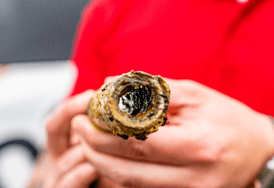 Visible Corrosion Image