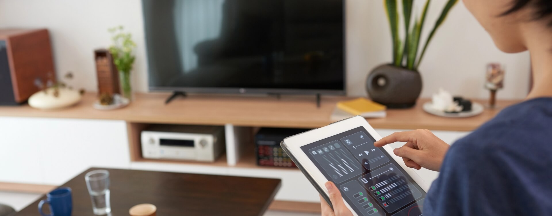 Entertainment and media integration banner large