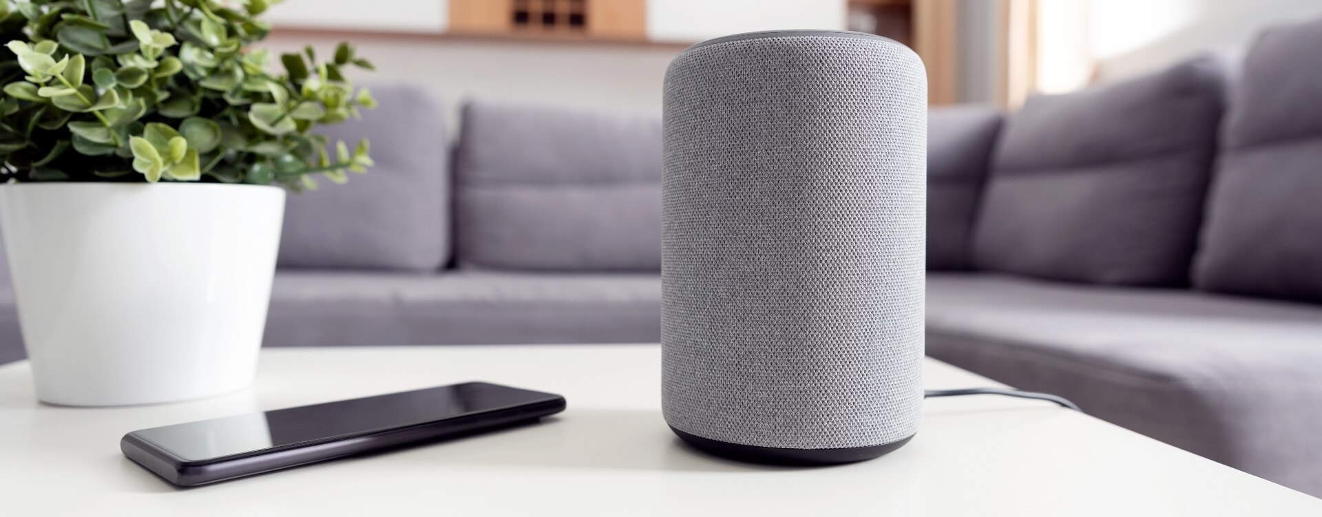 Voice and app control systems banner large