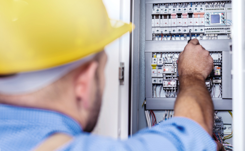 Electrical panel check